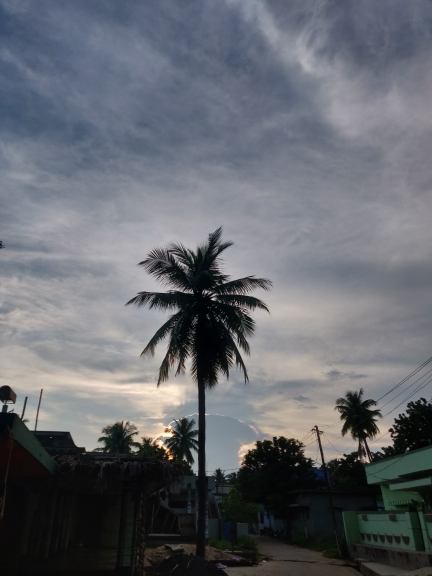 bhima dhanaraju allam