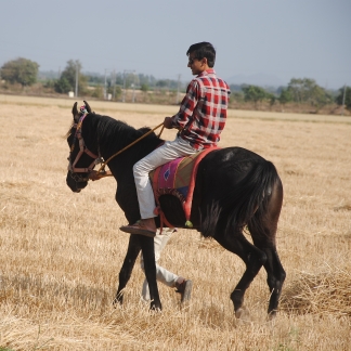 Akshay_Bavisa