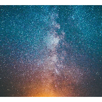 davidopus