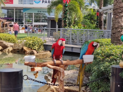 N1554605435868