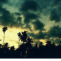 ISMAIL SHAMEEM