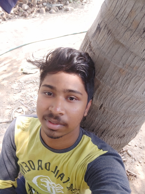 G1586117727400