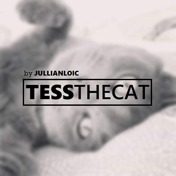 Tessthecat