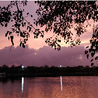 Mayurpatil155