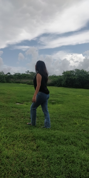 F1515385494081