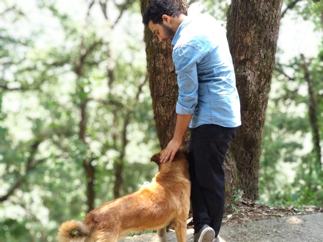kuldeep walia