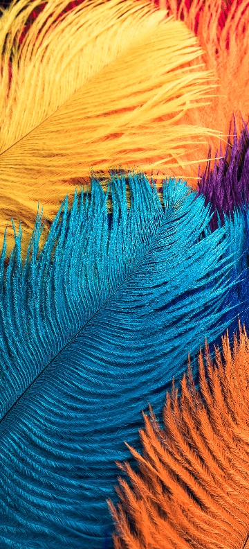 I1603432113281