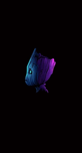 yashydv21