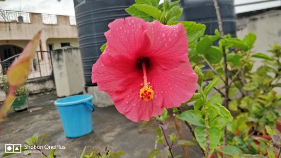 AmaraManikanta