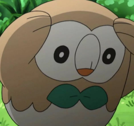 pikapikapi