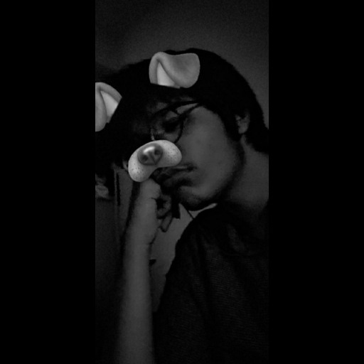 Anirudhh420