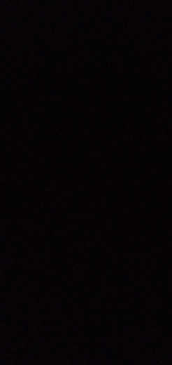 X1599808079907