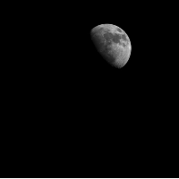 W1611756888531