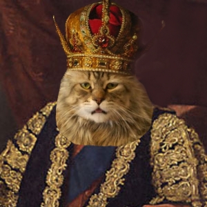 SirTibbles