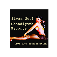 ziyaa0077