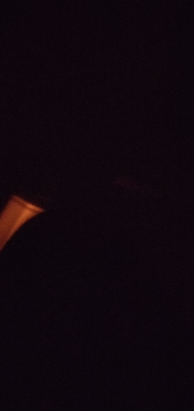 27427